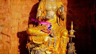 「武进」孝道园黄色金色飞天女神