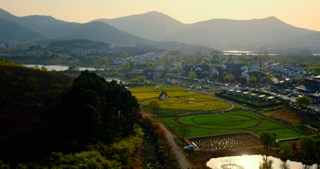 「金坛」仙姑村秋色金色太阳
