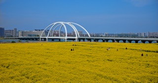 「金坛」钱资湖油菜花蓝天