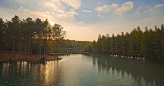 「新北」新龙生态林秋景