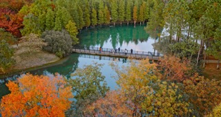 「新北」新龙生态林秋景