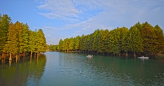 「新北」新龙生态林秋景