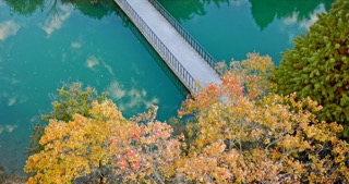 「新北」新龙生态林秋景
