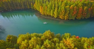「新北」新龙生态林秋景