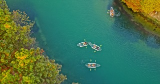 「新北」新龙生态林秋景