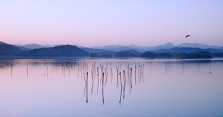 「溧阳」天目湖湿地公园