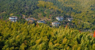 「溧阳」竹溪谷