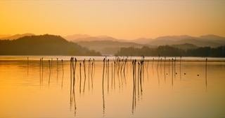 「溧阳」天目湖湿地公园