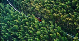 「溧阳」南山竹海小火车