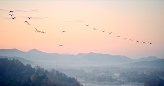 「溧阳」天目湖湿地公园