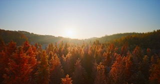 「溧阳」天目湖湿地公园