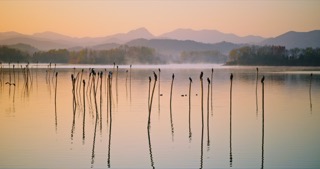 「溧阳」天目湖湿地公园