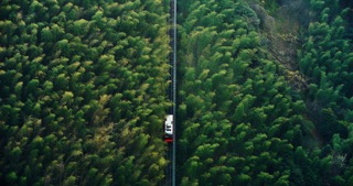 「溧阳」南山竹海小火车