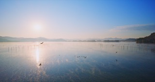「溧阳」天目湖湿地公园