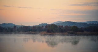 「溧阳」天目湖湿地公园