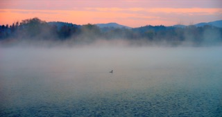  「溧阳」天目湖湿地公园