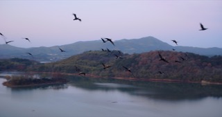 「溧阳」天目湖湿地公园