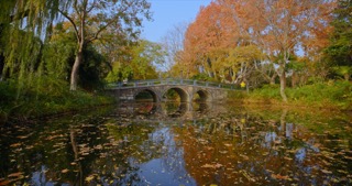 「天宁」红梅公园秋天