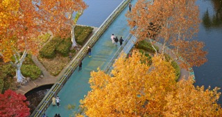 「天宁」红梅公园秋天