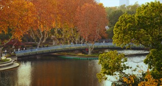  「天宁」红梅公园秋天