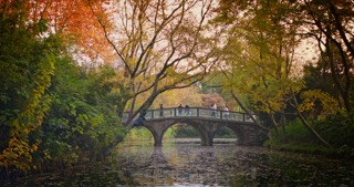 「天宁」红梅公园秋天