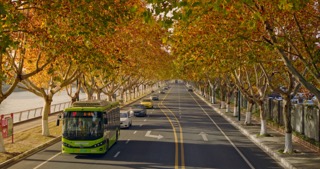 「经开区」延陵东路的秋天