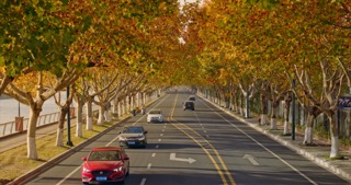 「经开区」延陵东路的秋天