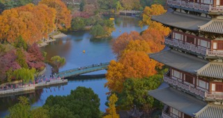 「天宁」红梅公园秋天