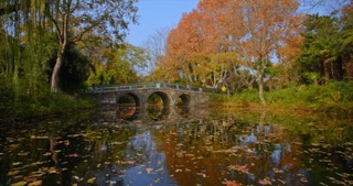 「天宁」红梅公园秋天
