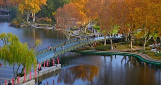 「天宁」红梅公园秋天