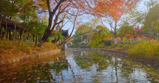 「天宁」红梅公园秋天