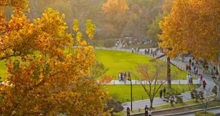 「天宁」红梅公园秋天